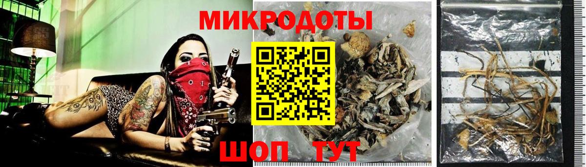 Псилоцибиновые грибы Cubensis Новоалександровск