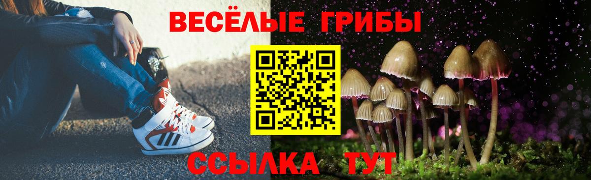 Новоалександровск  наркошоп  Вход с VPN  Псилоцибиновые грибы прущие грибы 